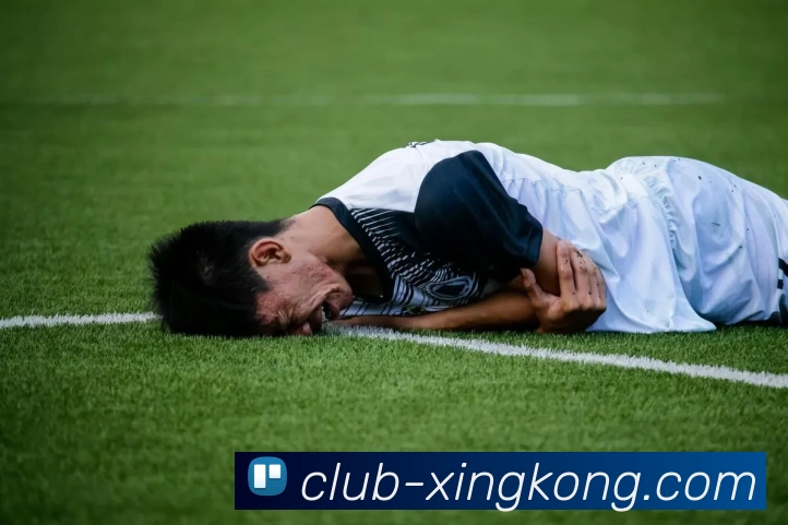 多媒体互动体验